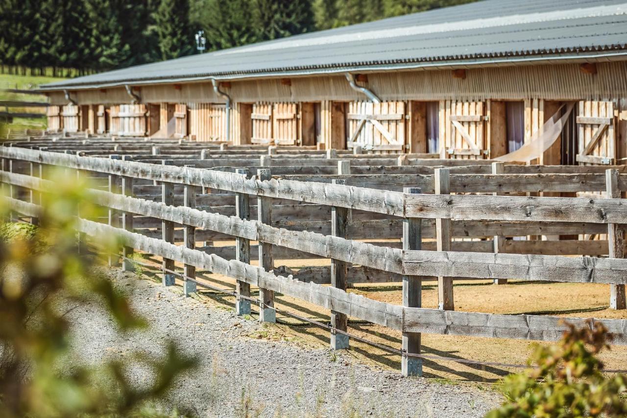 Ranchhouse Smoker- Westernstable - Horse Elterlein Exteriér fotografie